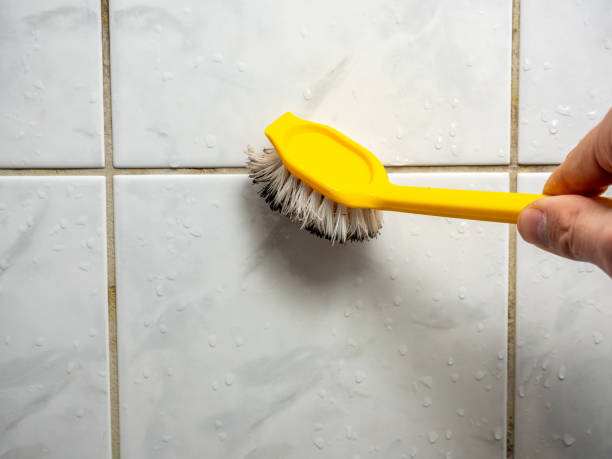 Best Mold Removal Company Near Me  in Byron Center, MI