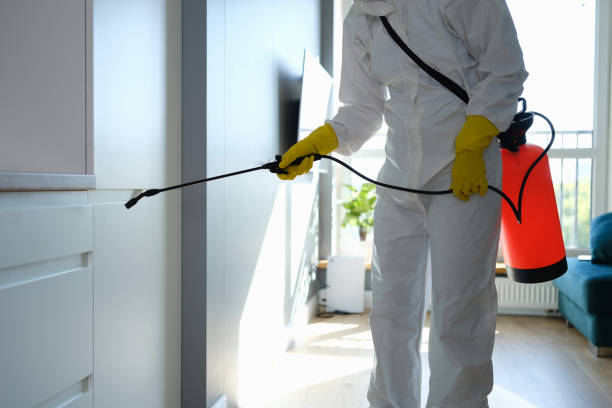 Best Mold Cleaning Services  in Byron Center, MI