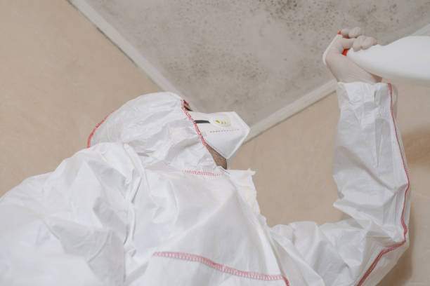 Best Mold Cleaning Services  in Byron Center, MI