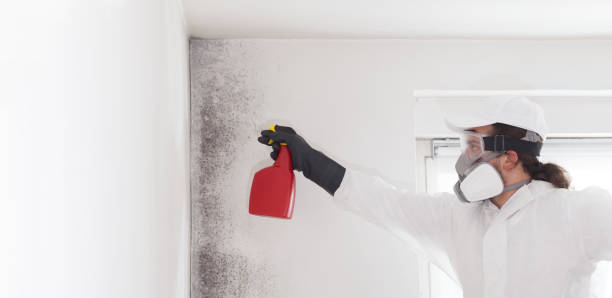 Best Emergency Mold Removal  in Byron Center, MI