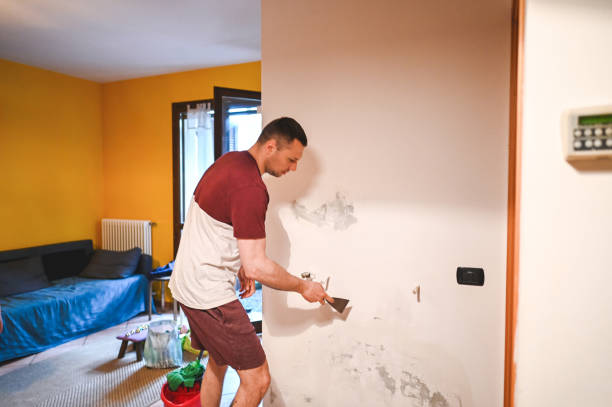 Best Emergency Mold Removal  in Byron Center, MI
